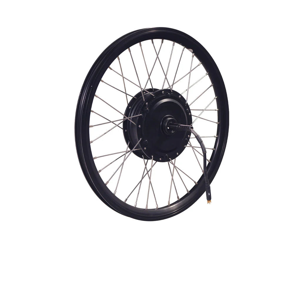 Rear Wheel Motor and Rim SY R2S-200S6 250W [20 Black] for Paris/London/Paris+/London+